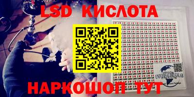 PSILOCYBIN Туймазы
